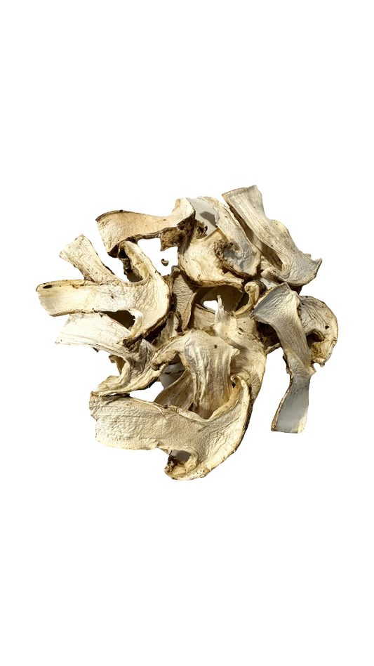Dried Wild Matsutakes