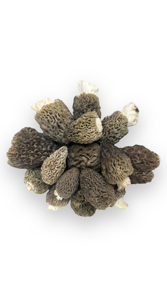 Fresh Wild Black Morels