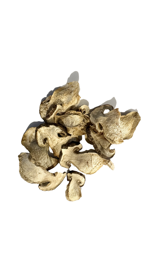 Dried Wild Porcini
