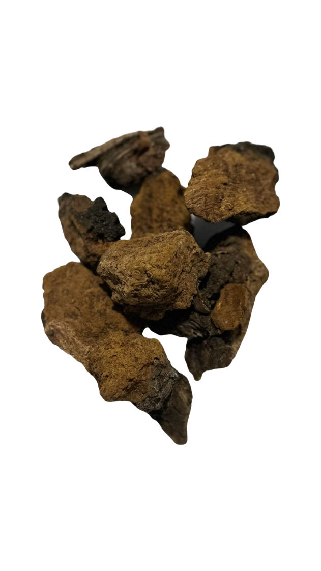 Dried Chaga