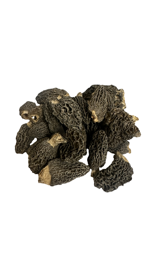 Dried Wild Morel Mushrooms