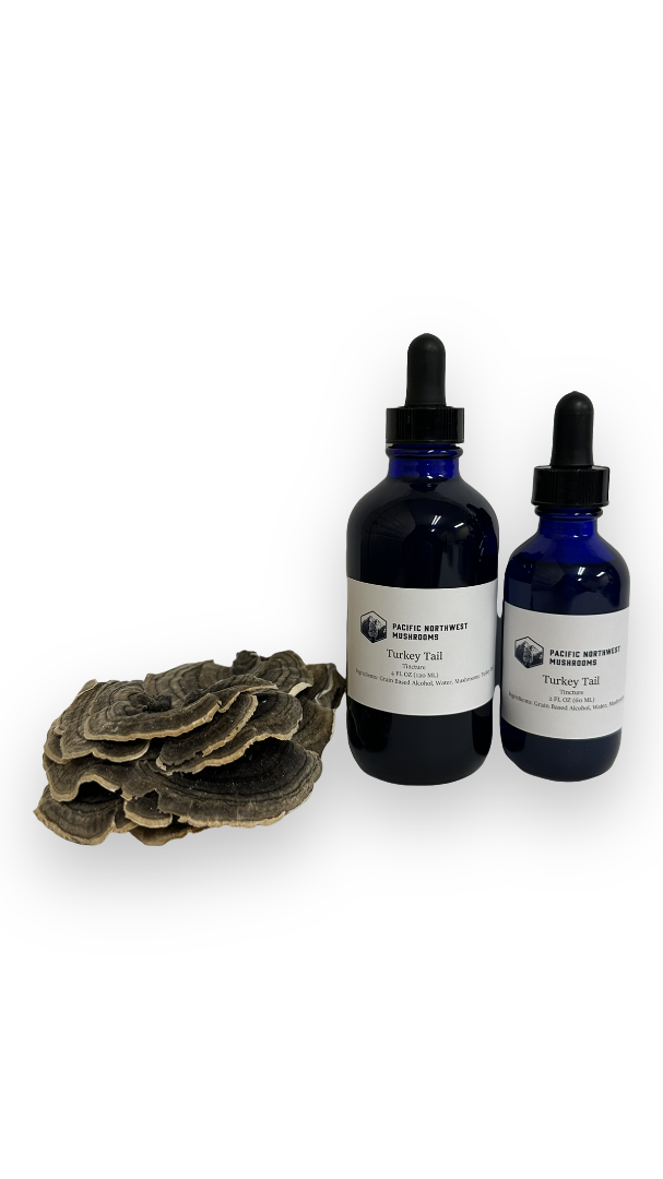 Turkey Tail Tincture