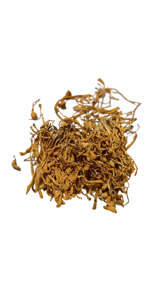 Dried Cordyceps-Cultivated