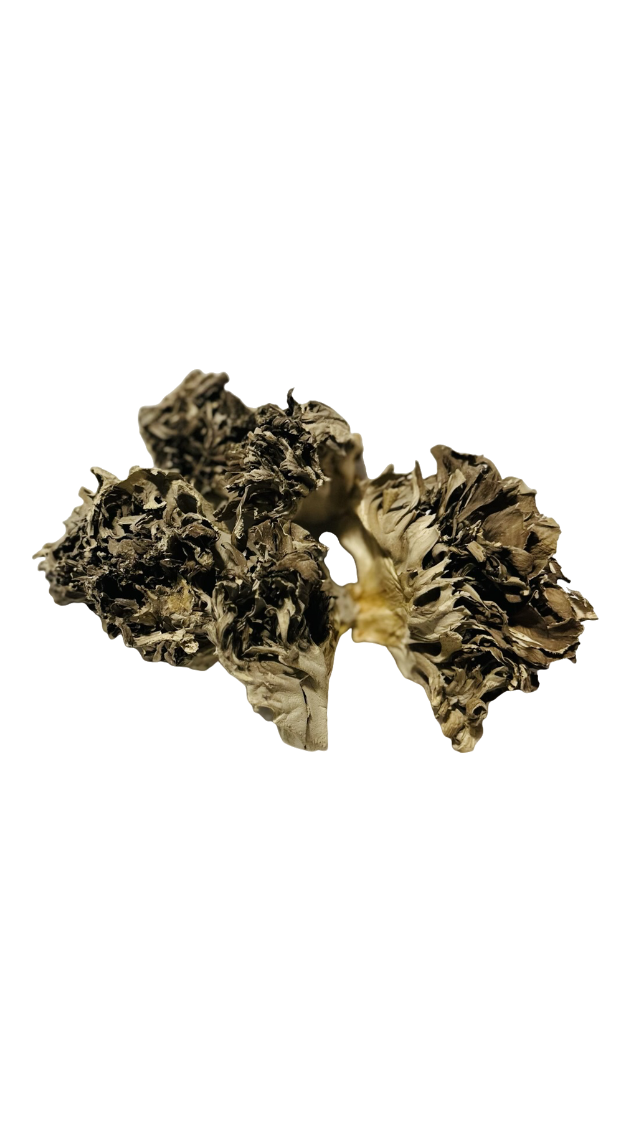 Dried Maitake Mushrooms