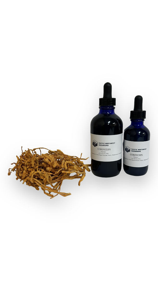 Cordyceps Tincture