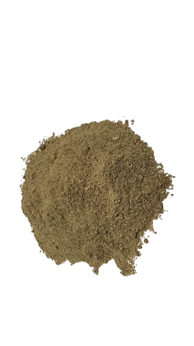 Porcini Powder