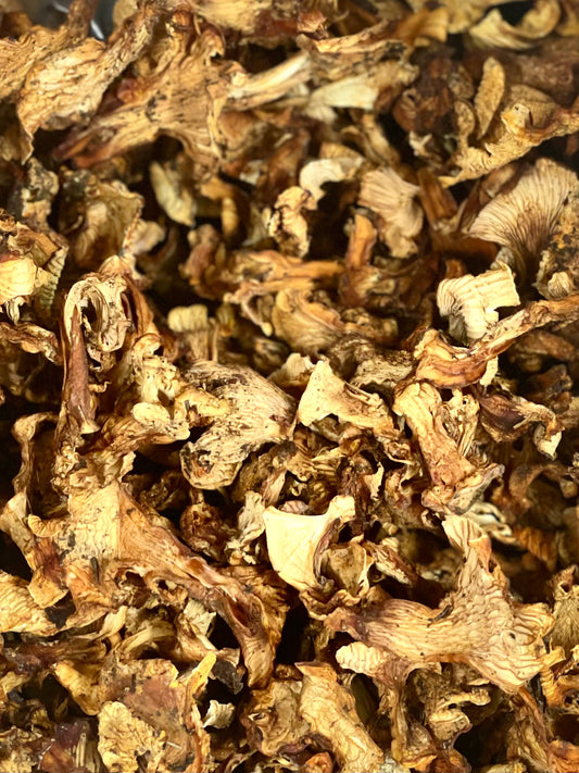 Dried Wild Chanterelles