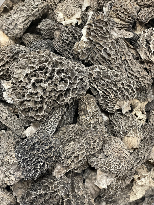 Dried Jumbo Wild Morel Mushrooms